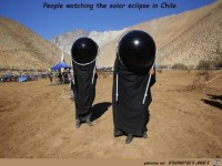 Sieht au�erirdisch aus