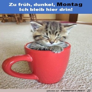 Begrüßungsbild
