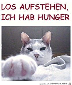 Steh-jetzt-auf.jpg auf www.funpot.net