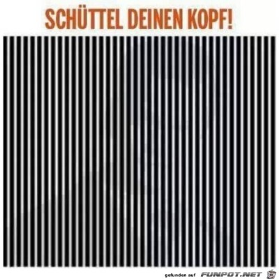 Schüttel-deinen-Kopf.jpg von Sia