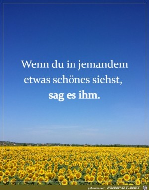 Sag-es.jpg auf www.funpot.net