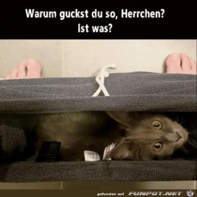 Hier-bin-ich.jpg von Mia