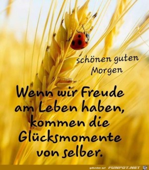 Wenn-wir-Freude-am-Leben-haben.jpg auf www.funpot.net