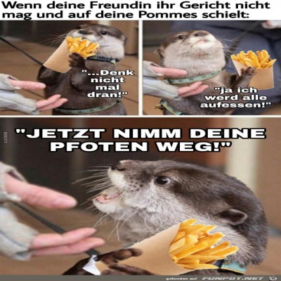 Nimm-die-Pfoten-weg.jpg von Pius