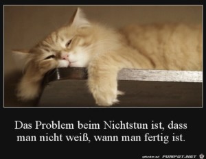 Nichtstun.jpg auf www.funpot.net