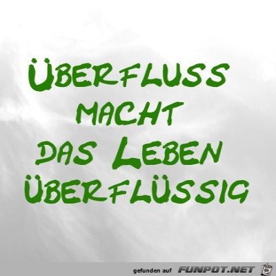 &Uuml;berflu&szlig;.jpg von LUIS999