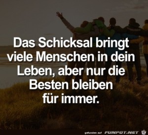 Das-Schicksal.jpg auf www.funpot.net