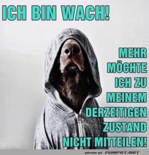 Ich-bin-wach.jpg auf www.funpot.net