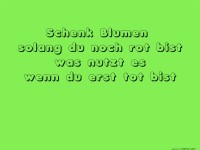 blumen