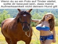 Humor in Dating-App-Profilbildern