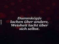 Lach dich weise!