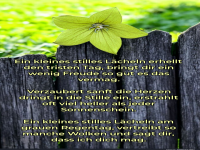 ein kleines stilles l�cheln