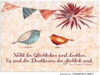 Nicht die Glcklichen....