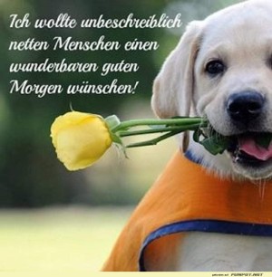 schoenen-Tag.jpg auf www.funpot.net