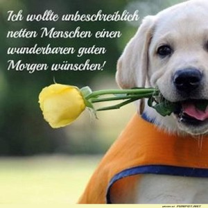 schoenen-Tag.jpg von Benno-2011