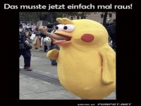 Wenn Enten die Schnauze voll haben