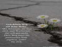 Bl�mchen im Asphalt: Stille Rebellen!