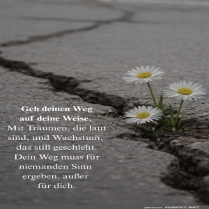 Blümchen-im-Asphalt:-Stille-Rebellen!.jpg von Phil-1986