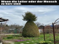 Gartenkunst der kurzen Art