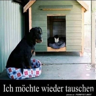 Ich-will-tauschen.jpg von Phil-1986