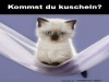 weiter