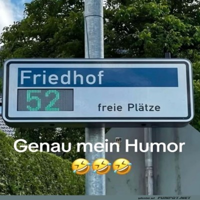 Letzter-Halt:-Friedhofslachparade.jpg von Sophie48