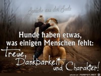 Hunde