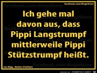 diegeilsten Pippi