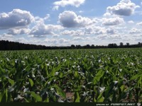 fuer Bildgenerator freigegeben 002080