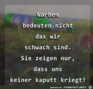 Narben.jpg auf www.funpot.net