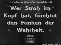 wer Stroh im Kopf hat f�rchtet den Funken...