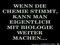 Sinnvolle Schlussfolgerung