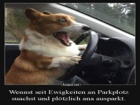 Am Parkplatz