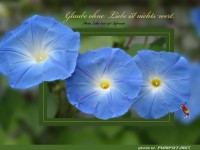Glaube ohne Liebe