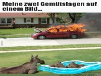 Kommt hin