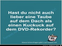 Scherzfrage