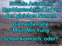 Moin Min Yung