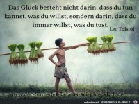 Das Glck besteht darin, dass du immer willst, was du tust