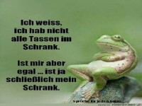 Ich wei�, ich hab nicht alle Tassen im Schrank