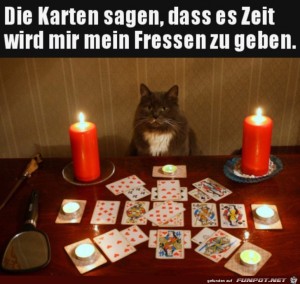 Zeit-fr-das-Fressen-der-Katze.jpg auf www.funpot.net