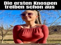 Die ersten Knospen
