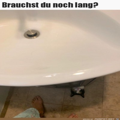 Man-fragt-ja-nur-mal.jpg von Pina