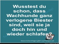 Scherzfrage