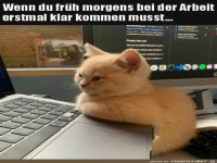 Es ist noch etwas fr�h