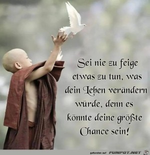 Sei-nie-feige-etwas-zu-tun.jpg auf www.funpot.net