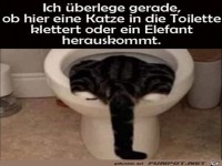 K�nnte beides sein