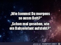 Schon mal gesehen