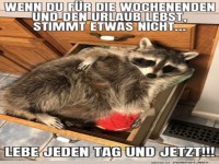Lebe jeden Tag und jetzt