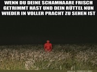 Frisch getrimmt und bereit