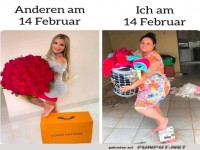 Spe am Valentinstag: Erwartung vs. Realitt